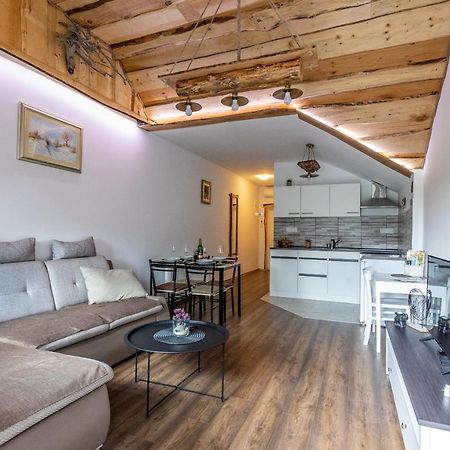 Apartman Mila Josipdol Bagian luar foto