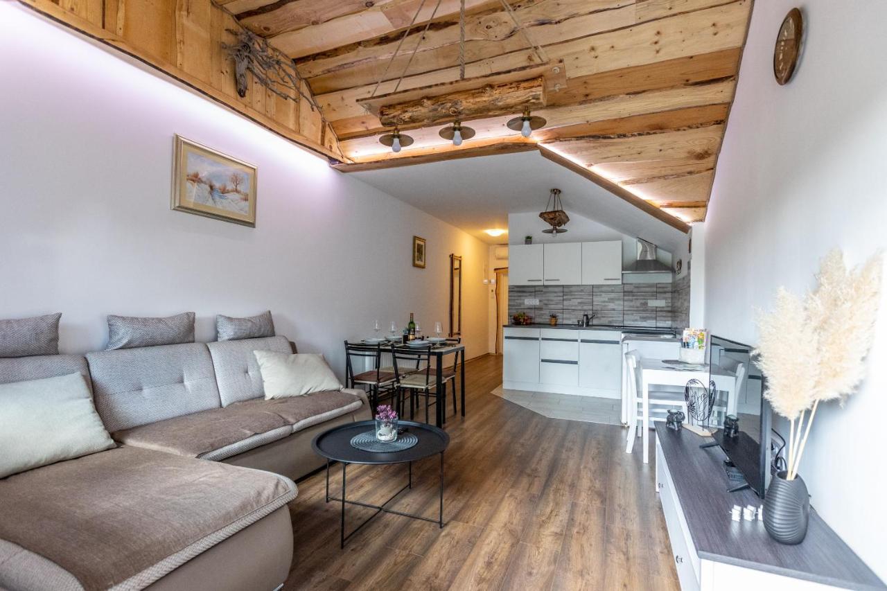 Apartman Mila Josipdol Bagian luar foto
