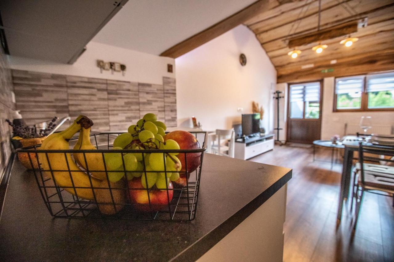 Apartman Mila Josipdol Bagian luar foto